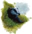 Giant Badger