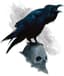 Swarm of Ravens