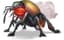 Giant Fire Beetle