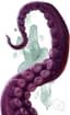 Giant Octopus