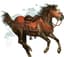 Riding Horse